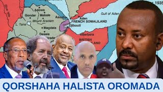 HALIS AFARTA QORSHE EE OROMADU KU QABSANAYSO JABUUTI SOMALILAND amp KOONFURTA SOOMAALIYA  WARAYSI [upl. by Ahsropal103]