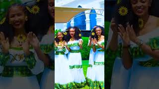 💎ዛሪ አበባዮሽ እንበልhabesha tubeethioforumኢትዮፎረም habesha [upl. by Enirehtacyram]