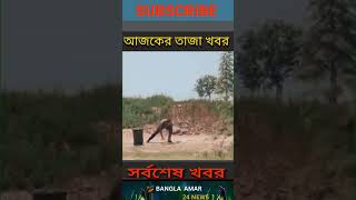 সবুজ পৃথিবী  Green World  Bangla Amar 24 News [upl. by Eanerb919]