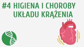 Higiena i choroby układu krążenia 4  Krążenie [upl. by Letnuahs]