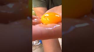 Why Was This Inside of This Chicken Egg chickenegg [upl. by Elissa]