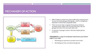 Tradjenta For the Treatment of Type II Diabetes [upl. by Domenech884]