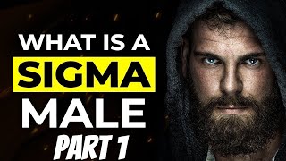 The Epic Rise of Sigma Males Explained [upl. by Eenal]