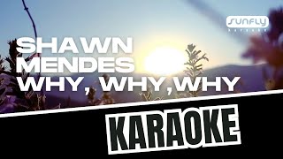 Shawn Mendes  Why Why Why  Karaoke Preview [upl. by Netsriik]