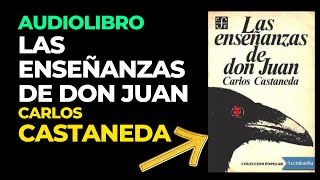 AUDIOLIBRO ENSEÑANZAS DE DON JUAN  Carlos Castaneda Audiobook Completo en Español [upl. by Anahir]