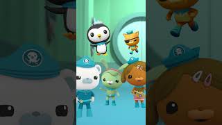 Octonauts The Mantis Shrimp octonauts ytshort [upl. by Essirahc]