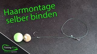 Karpfenangeln Basics Haarmontage einfach selber binden  Tutorial  fishingkingde [upl. by Evin288]