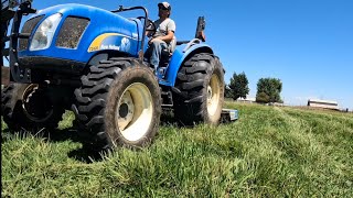 Why Mowing Pasture Weeds is Both a Good and Bad Idea [upl. by Karsten]