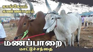 Manapparai mattu santhai  மணப்பாறை மாட்டு சந்தை  நாட்டு மாடு சந்தை [upl. by Ikkir]