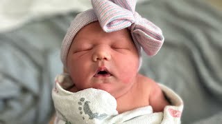 Born by nurse delivery Birth info vlog  nongraphic [upl. by Kappel]