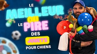 JOUETS pour CHIENS  les Meilleurs ⚡️ Pires [upl. by Alya435]