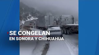 Sonora y Chihuahua se CONGELAN  Se registran temperaturas BAJO CERO [upl. by Retsevel]