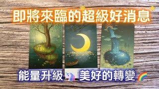 塔羅占卜🔮即將發生的超級好消息😸突破階級㊗逆轉連連 🤑💯 [upl. by Karrie]