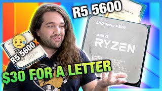 AMD Ryzen 5 5600 vs i512400 amp 5600X CPU Review amp Benchmarks [upl. by Roda281]