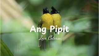 Ang Pipit  Filipino Folk Song Lyrics [upl. by Dillon]