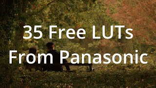 35 free LUTs from Panasonic for VLog Link amp demonstration [upl. by Yvor206]