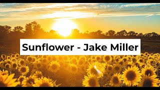 Sunflower Lyrics  Vietsub  Jake Miller [upl. by Silirama]