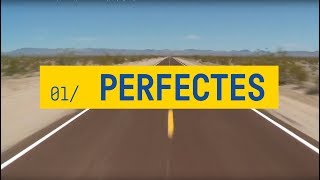 ELS CATARRES  PERFECTES amb lletra  Tots els meus principis 2018 [upl. by Tuchman604]