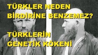 Türklerin Genetik Kökeni [upl. by Dominik17]