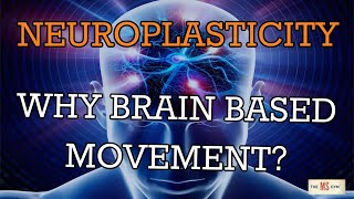 NeuroPlastic Nugget 3 Why Focus On BrainBased Movement [upl. by Xerxes626]