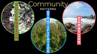 Community Patterns Zonation stratification amp succession [upl. by Gaby]