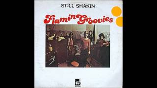 Flamin Groovies  Louie Louie  1971 [upl. by Qiratla]