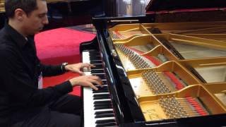 Fazioli F278 Grand Piano [upl. by Aened]