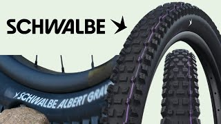 Schwalbe Albert Radial First Look [upl. by Enineg]