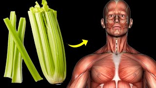 What Happens To Your Body When You Eat Celery Everyday [upl. by Shelba699]