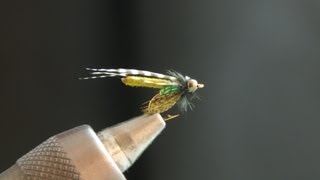 Fox Poopah  Fly Tying Lesson Video Tutorial by Curtis Fry [upl. by Taddeusz196]