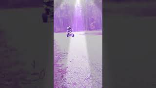 250cc manual atv top speed [upl. by Enenaj]