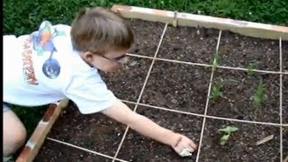 Our New Square Foot Garden beginners Season 1 Ep 3 Thinning Seedlings [upl. by Melantha]