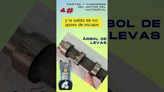 Árbol de levas 4 Partes y funciones del motor del automóvil electricidadautomotriz automobile [upl. by Anovahs]