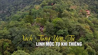 Xích Tùng Yên Tử  Linh mộc tụ khí thiêng [upl. by Teeter]