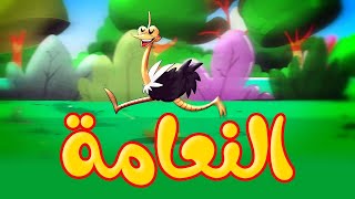 النعامة  قناة بلبل BulBul TV [upl. by Aliwt]