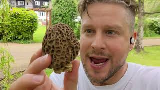 TOP TIPS foraging for Morel and St Georges Mushrooms in the UK [upl. by Almeeta958]