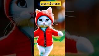 Sajna ve sajna hindi song cat Dance 👌 🔥  shorts youtubeshorts trending dance music indiansong [upl. by Haughay]