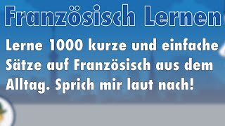 Lerne Französisch 1000 Sätze aus dem Alltag auf Französisch für Beginner [upl. by Norton]