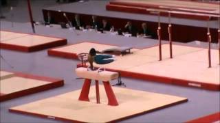 Pommel Horse 360 Spindle Between Pommels Gymnastics Video [upl. by Altheta302]