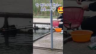 김포 약산낚시터 떡붕어 짜릿한 손맛  Kimpo Yaksan Freshwater Fishing Areas thrilling taste [upl. by Hube]