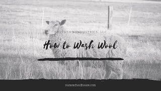 How to Wash Raw Wool Fleece [upl. by Alejna]