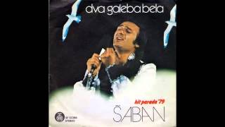 Saban Saulic  Dva galeba bela  Audio 1979 HD [upl. by Aicre763]