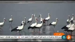 Iran Aras Dam region PolDasht county Tourism attractions جاذبه گردشگري سد ارس پلدشت ايران [upl. by Derraj826]