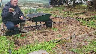 Final Harvest of 2024 Potatoes [upl. by Janet50]