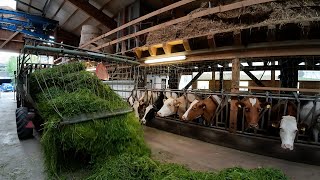 Milchviebetrieb 🇨🇭🐄🌱🥛 vom Gras bis in den Milchtank [upl. by Nrobyalc819]