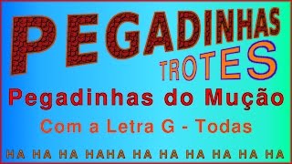 Pegadinha Trote do Mução Letra G  Todas [upl. by Witty806]