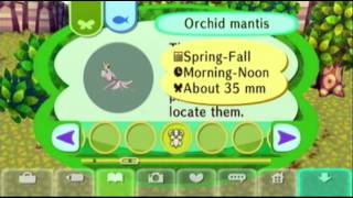 Animal Crossing City Folk Insect Guide  Orchid Mantis [upl. by Anayi]