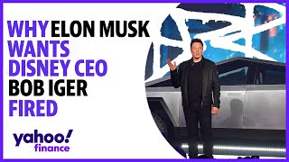 Elon Musk demands Disney CEO Bob Iger be fired immediately [upl. by Littman]