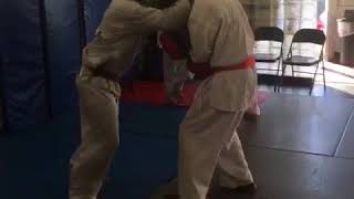 Shidokan karate pad training [upl. by Airednaxela190]