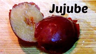 Jujube Review  How to make Jujube Tea Weird Fruit Explorer  Ep 109 [upl. by Schoenberg]